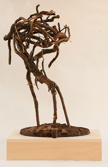 Bonsai